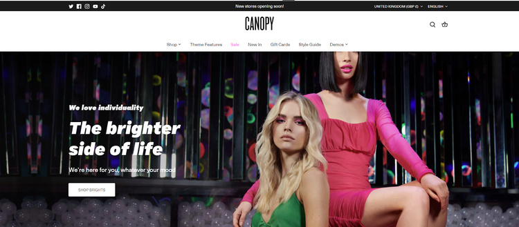 Canopy Theme Shopify reviews: Best Theme for Large-Inventory Store