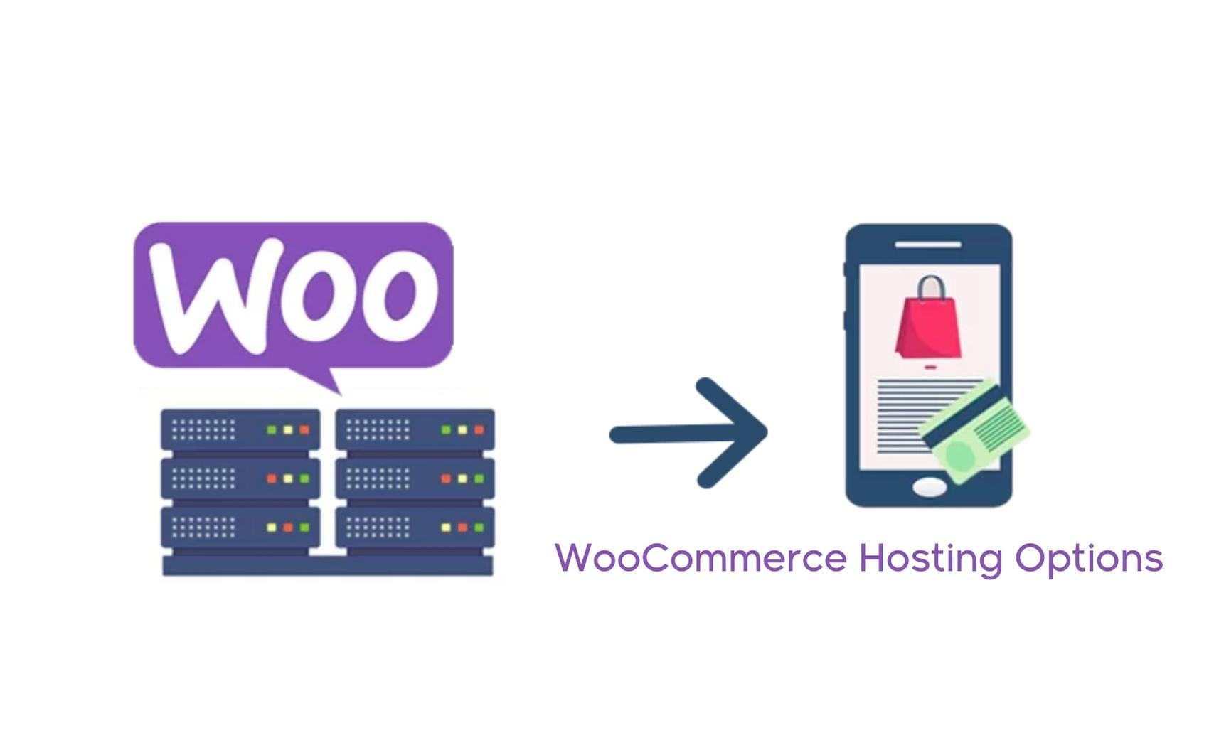 Hosting costs (if using self-hosted WordPress)