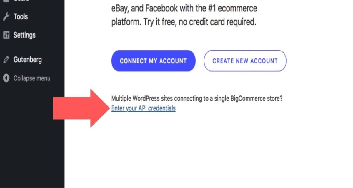 Pick BigCommerce when logged into your WordPress account. 
