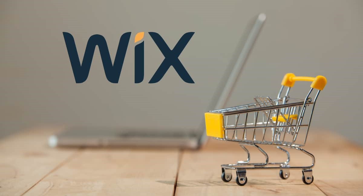 wix pricing for website