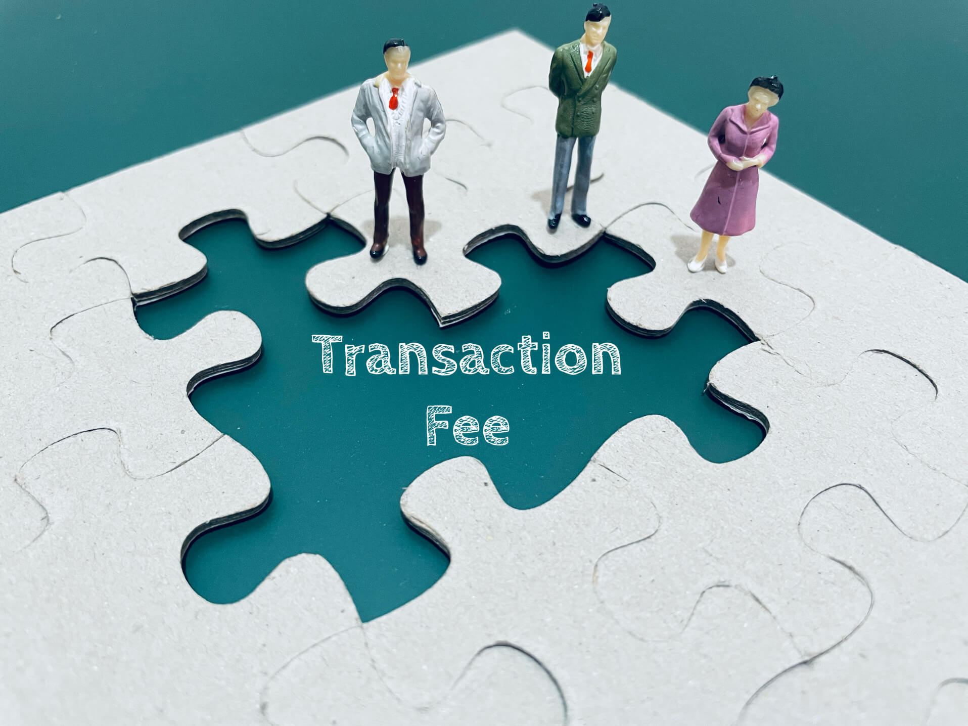 BigCommerce Transaction Fees! Does BigCommerce charge a transaction fee?