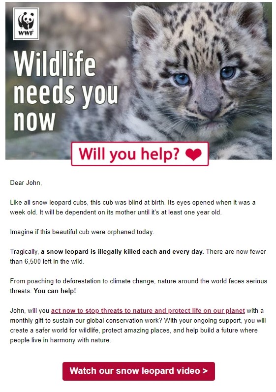 A storytelling email from WWF