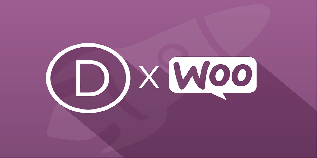 Divi WooCommerce Plugins review