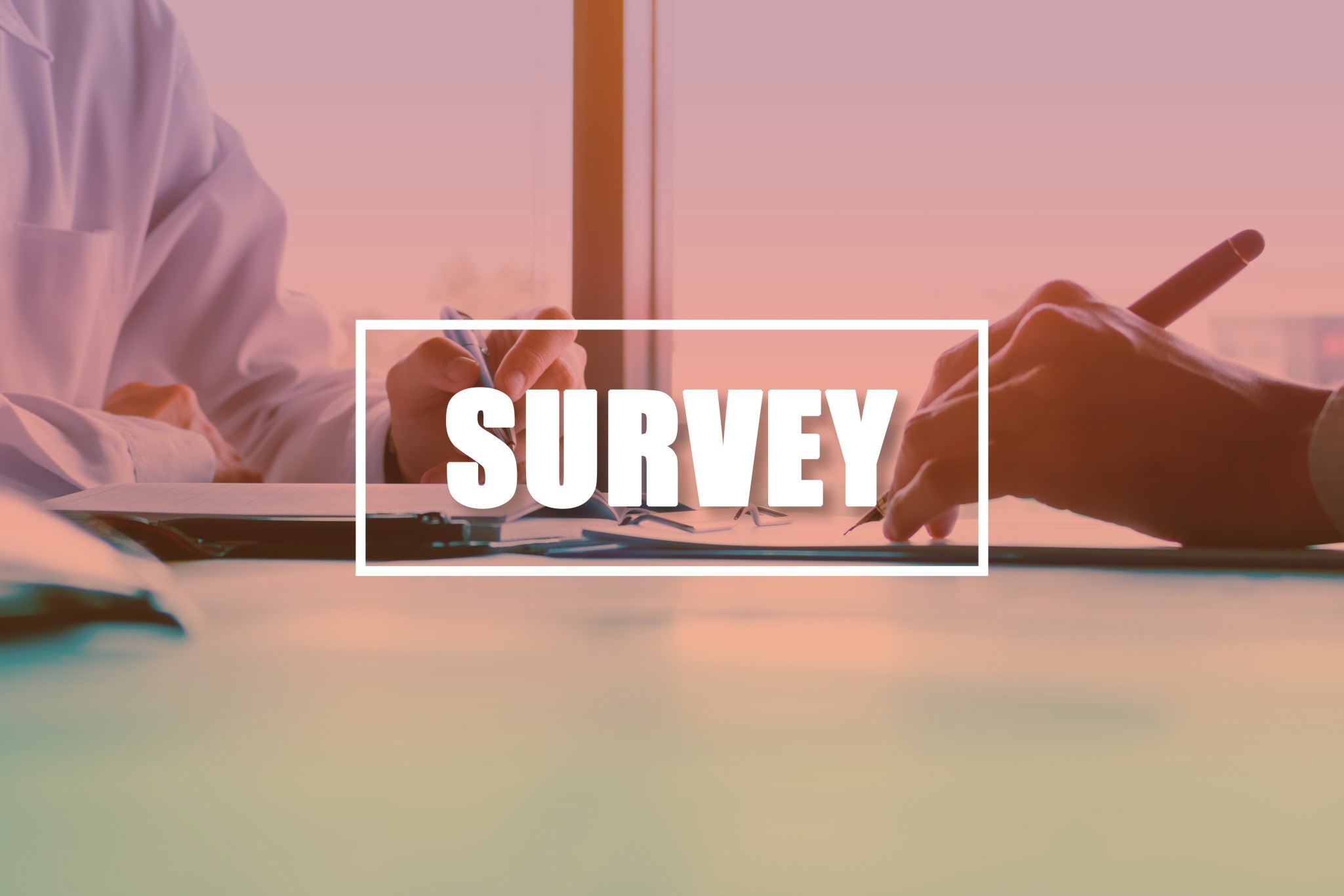 15+ Best Online Survey Tools