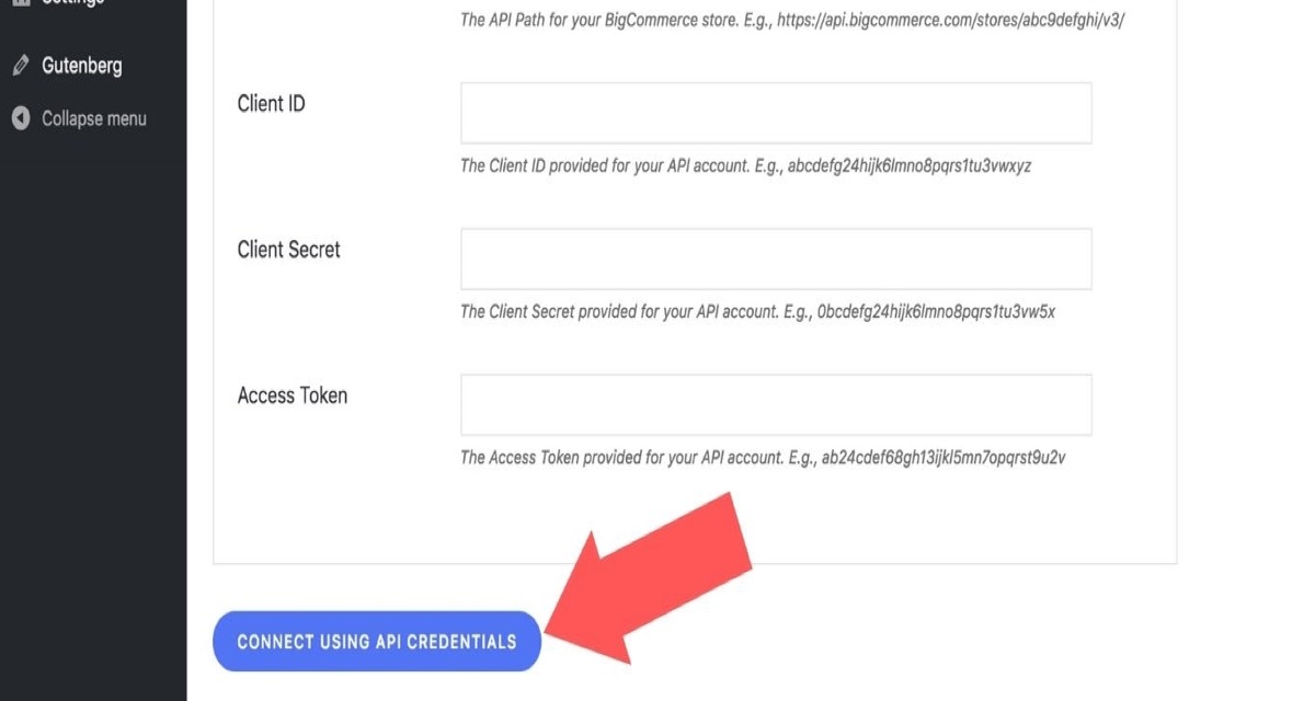 Fill in the Base API Route, Client ID, Client Secret, and Access Token fields. 