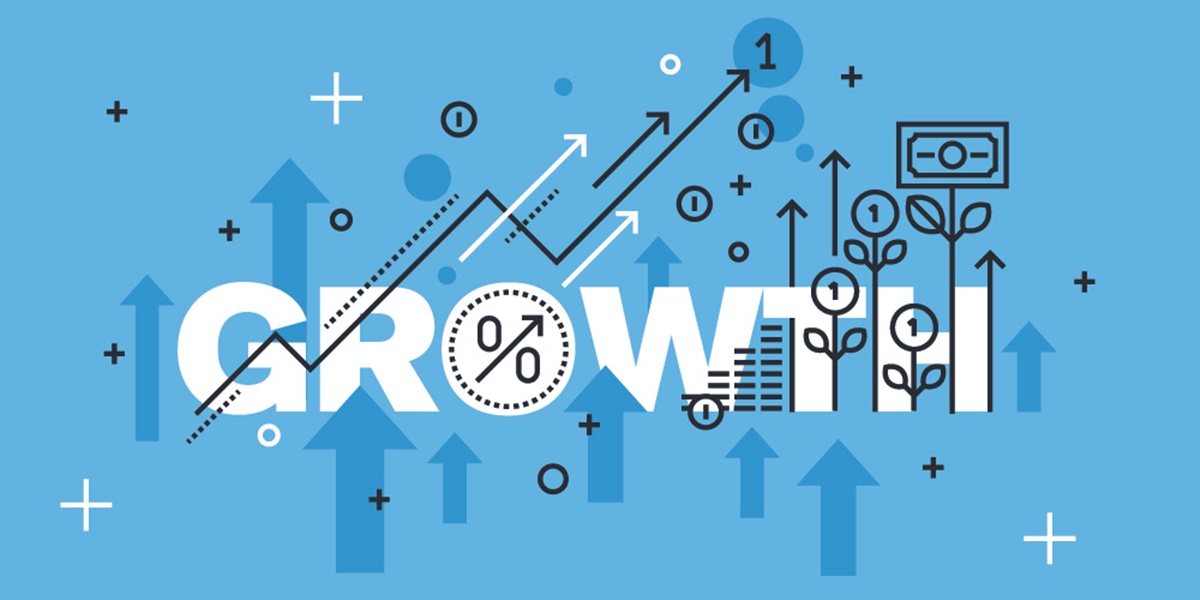 What is a growth strategy