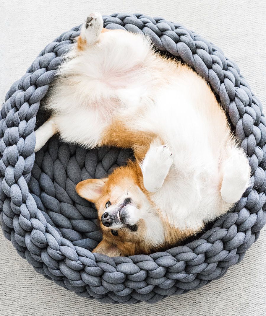 DIY Braided Dog Bed