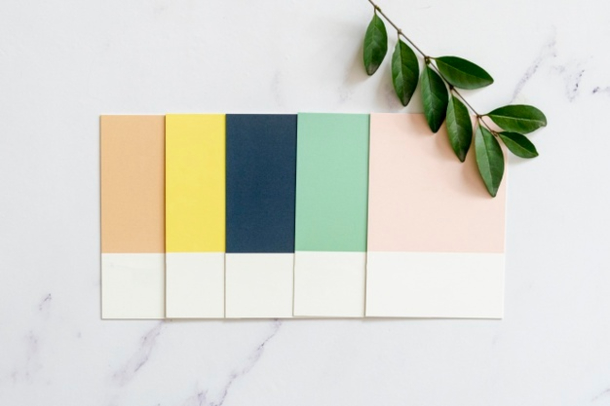 how-to-add-color-swatches-on-shopify-collection-page