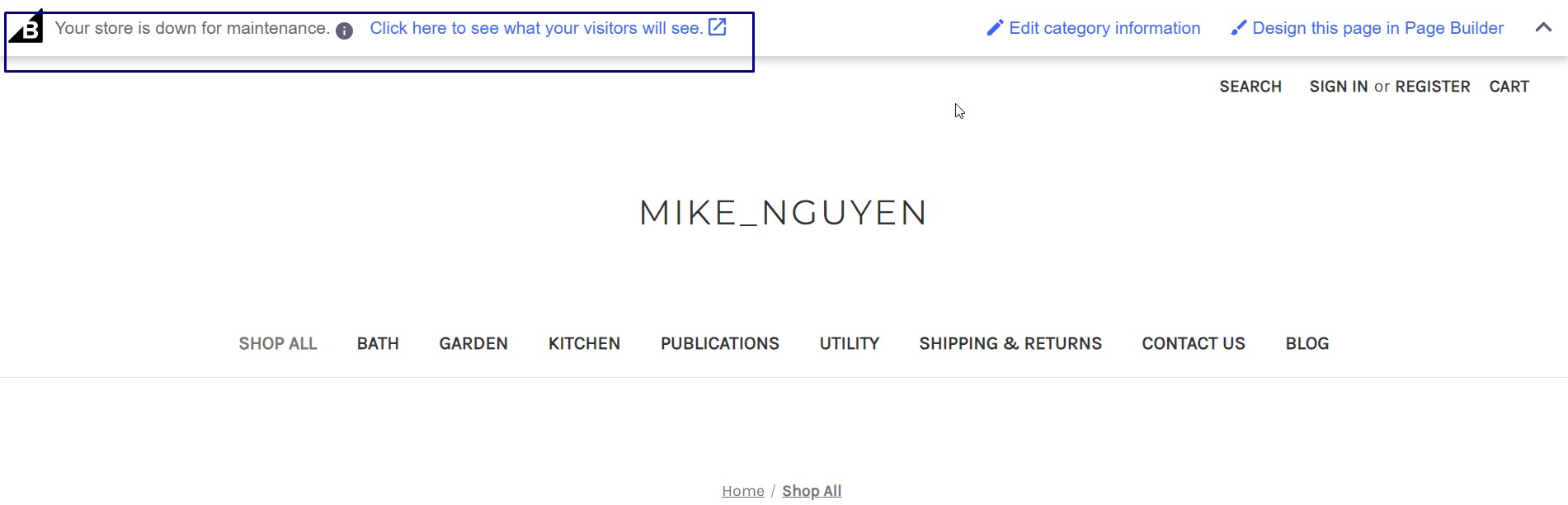How To Find Your BigCommerce Preview Code 1