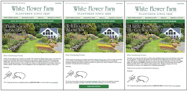 An example from White Flower Farmer